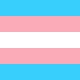 Trans flag