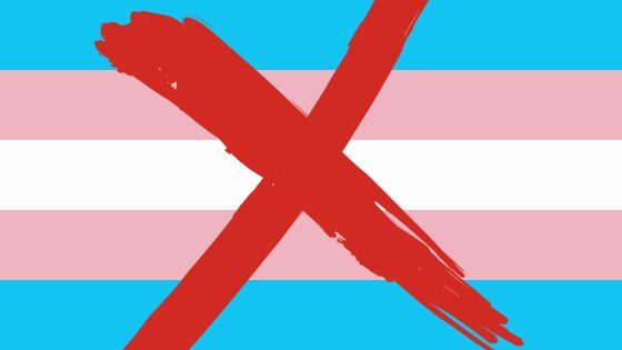 Trans flag crossed out