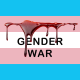 Gender War